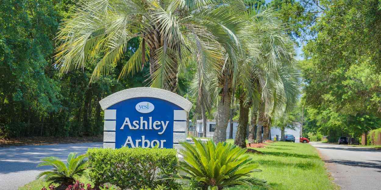 Ashley Arbor I