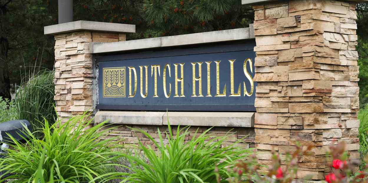 Dutch HIlls