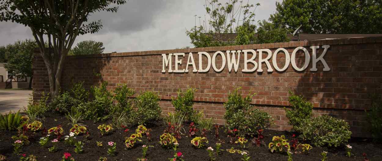 Meadowbrook