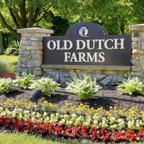 Old Dutch Farms
