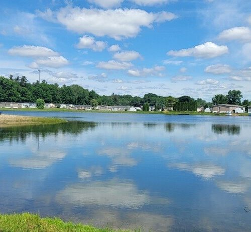 Pinewood on the Lake