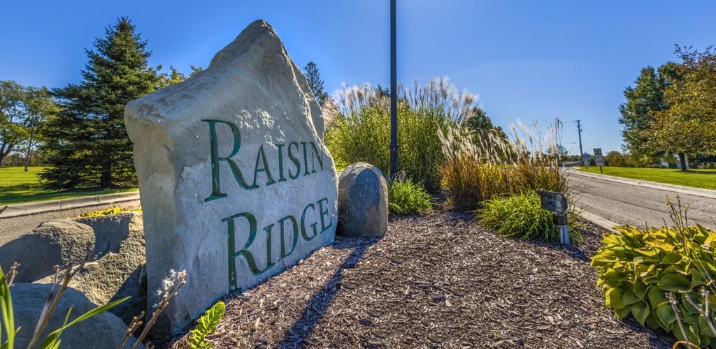 Raisin Ridge
