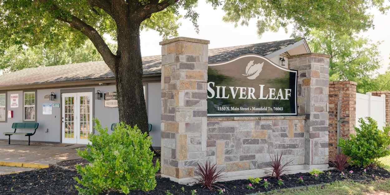 Silver Leaf