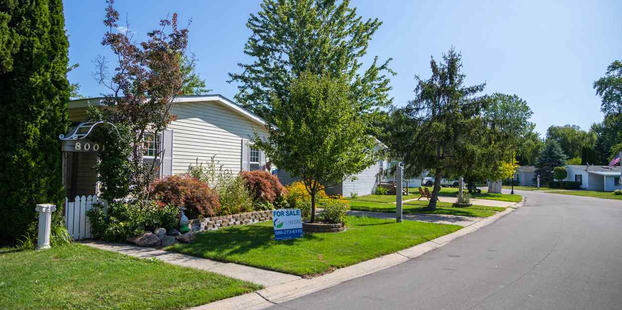 The Shores of Anchor Bay