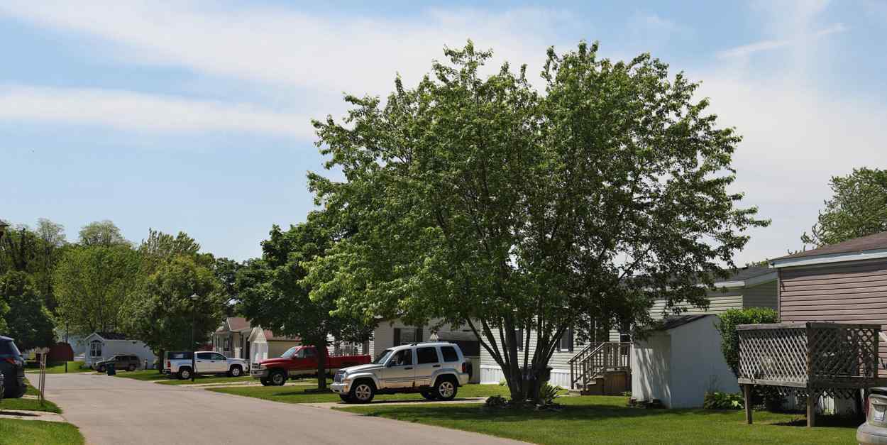 Yankee Springs Meadows